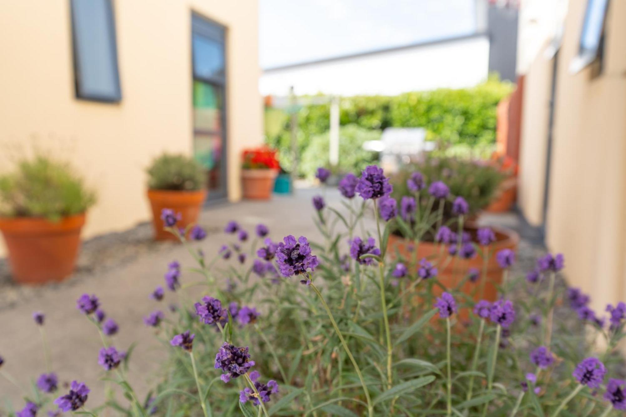Motel Bella Vista Ashburton